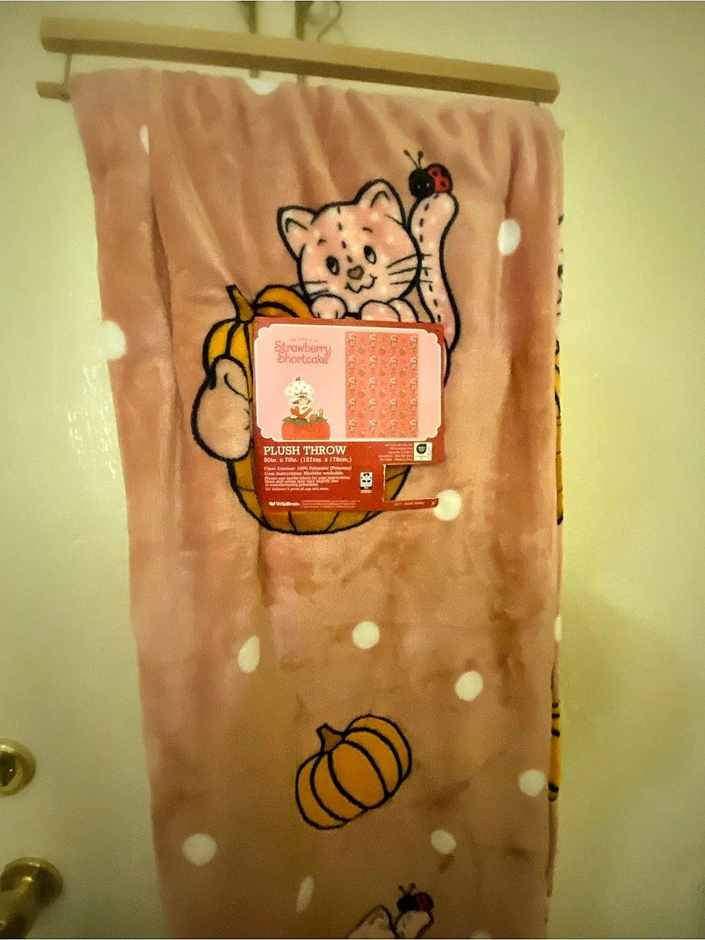 Strawberry Shortcake Fall Autumn Pumpkins Plush Throw NWT